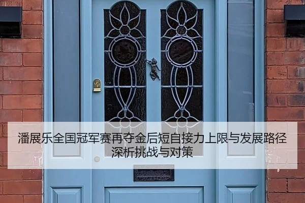 潘展乐全国冠军赛再夺金后短自接力上限与发展路径深析挑战与对策