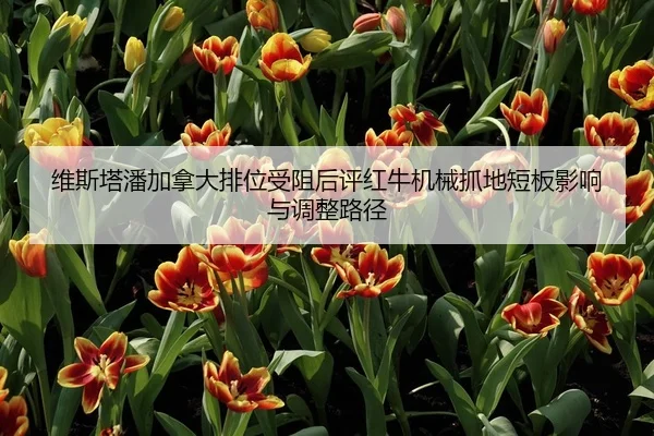 wei-si-ta-pan-jia-na-da-pai-wei-shou-zu-hou-ping-hong-niu-ji-xie-zhua-di-duan-ban-ying-xiang-yu-tiao-zheng-lu-jing-2-685.jpg