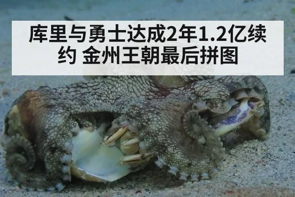 库里与勇士达成2年1.2亿续约 金州王朝最后拼图